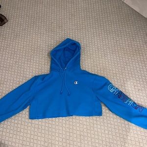 blue champion cropped hoodie
